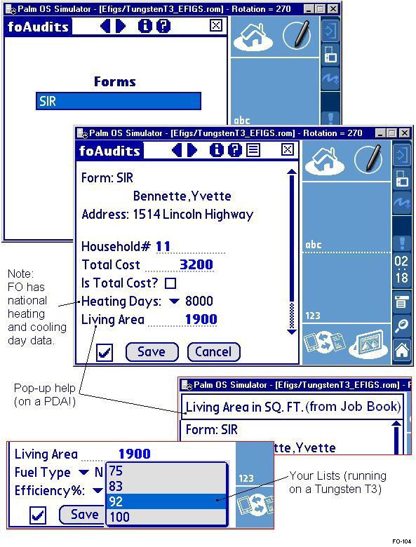 foAudits Example
